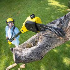 Best Lawn Grading and Leveling  in Johnson City, KS